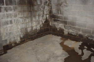 Basement Leakage in Nigeria